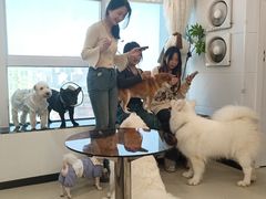 -共舞时光猫咖·狗咖(新街口店)