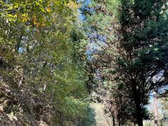 -终南山南五台景区