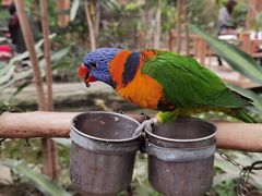 -南宫五洲植物乐园