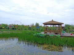 -同銮特种养殖场·龙虾垂钓