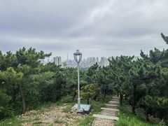 -北岭山森林公园