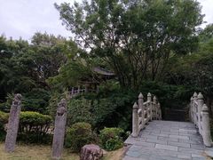 -深圳国际园林花卉博览园