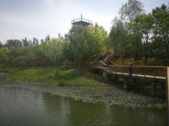 -东郊湿地公园