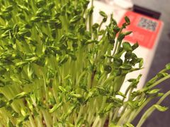 -煲宫猪肚鸡(晶品店)