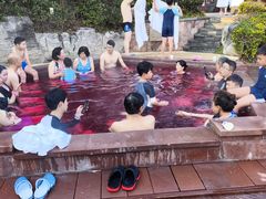 -天目湖涵田半山温泉