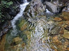 -天门沟九州驿站树上汤泉