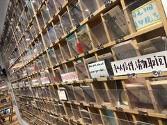 -猫的天空之城概念书店(杭州南宋御街店)