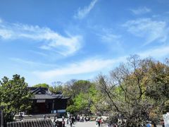 -枫桥景区