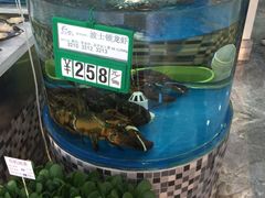 -海岛渔村大酒店(云霄路店)