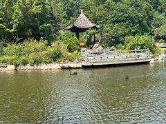 -广州市帽峰山景区