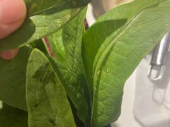 -潮发潮汕牛肉店(龙洞店)