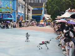 -海合安成都极地海洋公园