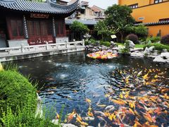 -下海庙