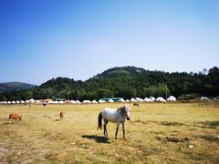 -木兰云雾山