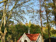 -上海共青森林公园