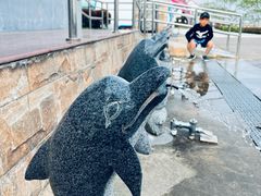 -碧海金沙