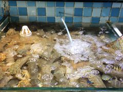 -四海蒸鲜蒸汽海鲜自助(北戴河店)