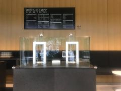 -Soloist 独奏公司(798店)