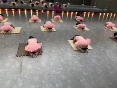 -星舞宝贝少儿舞蹈艺术(天山西路店)