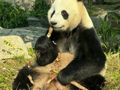 -南昌动物园