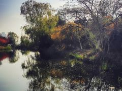 -天鹅湖体育公园