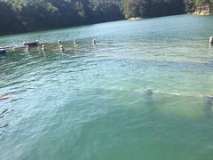 -广州市流溪河国家森林公园