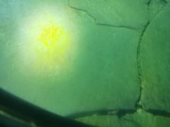 -白鹤梁水下博物馆