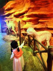 -酷嗒动物文化乐园(cutezoo西溪乐天城店)