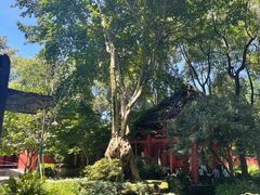 -成都武侯祠博物馆