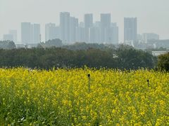 -光明小镇欢乐田园