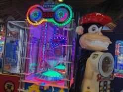 -卡通尼·Safari非洲探索乐园·生日会(金桥国际商业广场店)