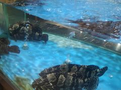 -上和臻品中国菜(花园街店)