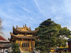 -上海东林寺(金山区)