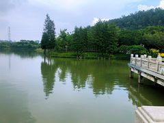 -顺峰山公园