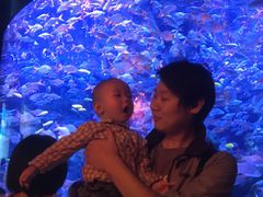 -成都浩海立方海洋公园