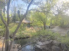 -清华大学-观畴园餐厅