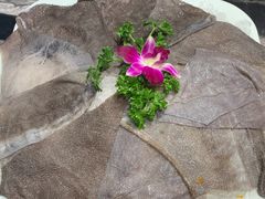 -凤来栖·净庭院·火锅(欧尚店)