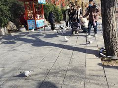 -中国翰园碑林