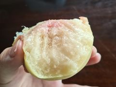 -南汇新场正宗水蜜桃采摘