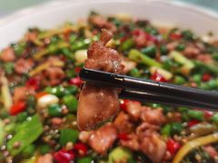 尖椒兔-新概念来凤鱼(璧山店)