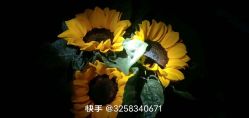 -HEYAN荷妍专业脱毛连锁机构
