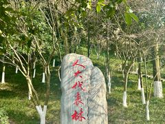 -龙头寺公园