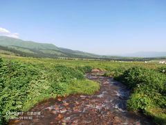 -新疆那拉提国家旅游度假区