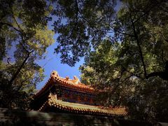 -北京国子监胡同