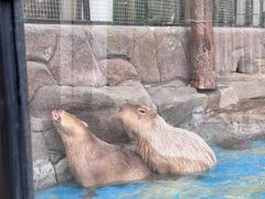 -海合安成都极地海洋公园