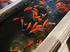-黄家码头老火锅(解放碑旗舰店)