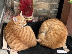 -上楼私房菜(院士路店)