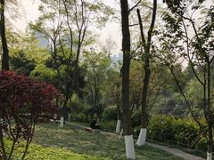 -龙头寺公园