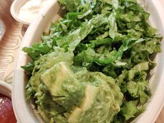 -油梨树AVOCADO TREE(嘉里中心店)