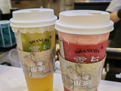 -雾与山茶(大禹城店)